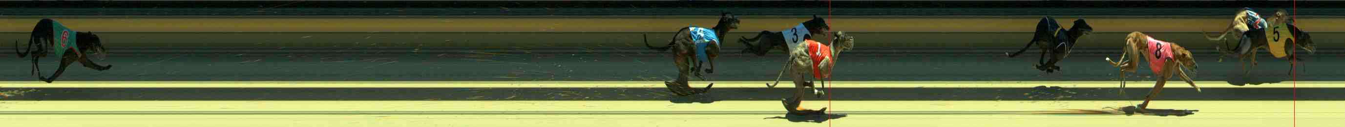 Race result finish photo